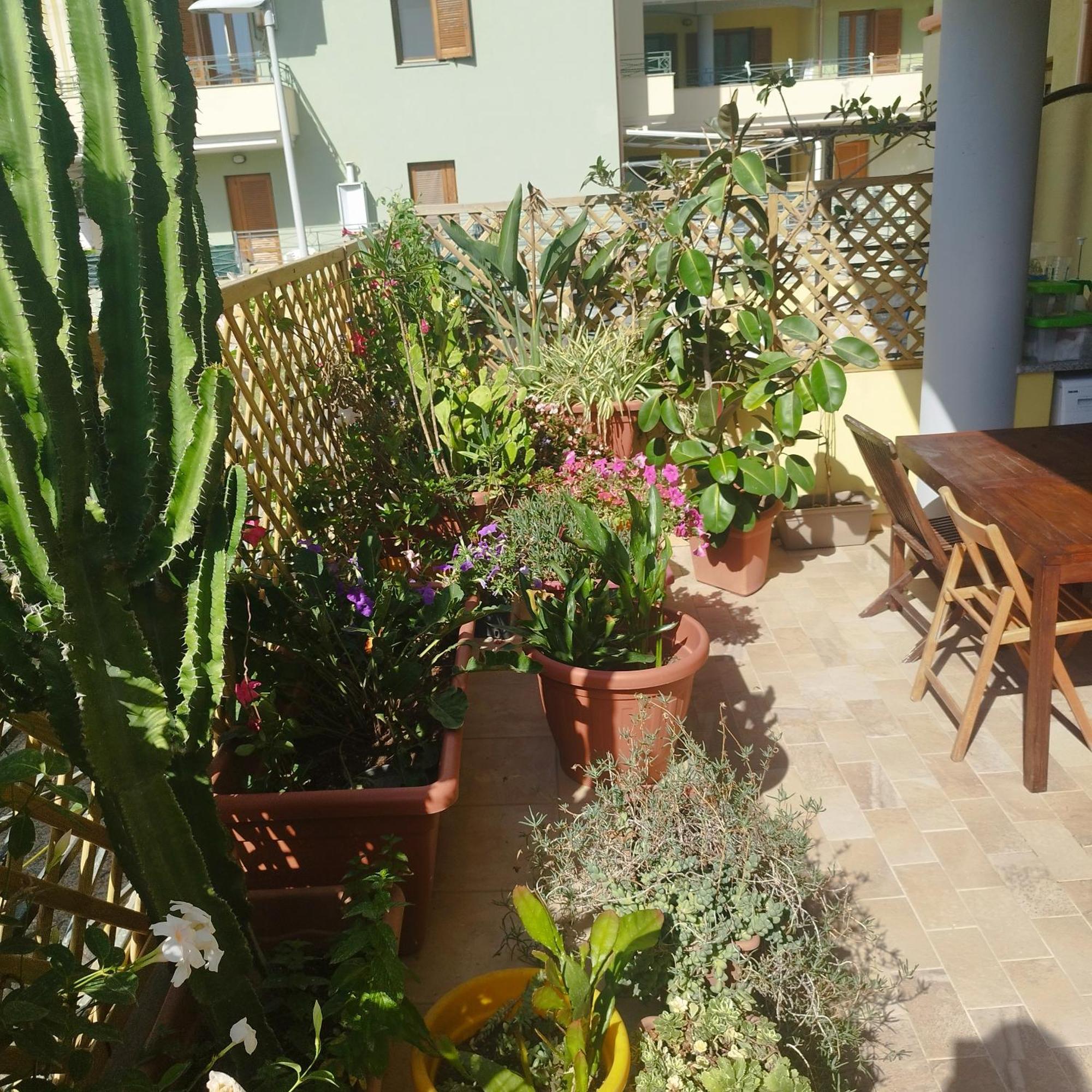 Ferienwohnung Alghero Lovely Flat Exterior foto