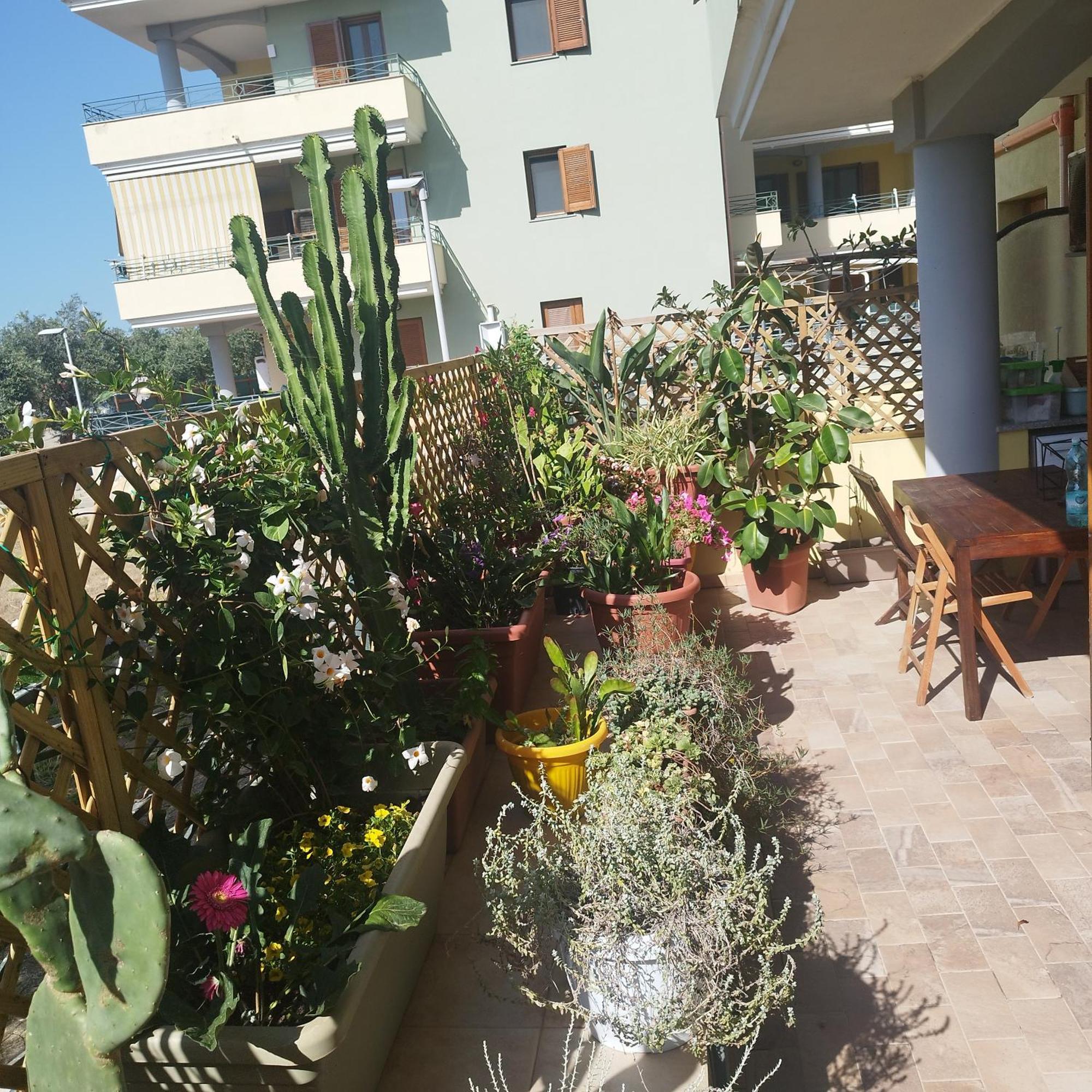 Ferienwohnung Alghero Lovely Flat Exterior foto